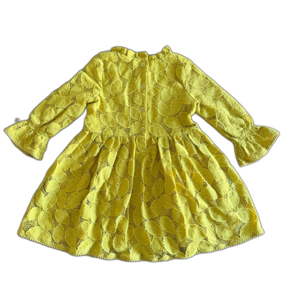Genuine Kids by OshKosh Yellow Lace Dress Girls' 4T - Picture 2 of 12